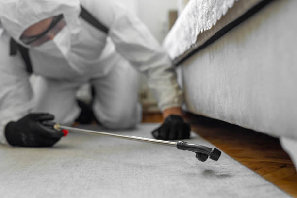 Professional Cockroach Control technician working in Dover Base Housing, DE
