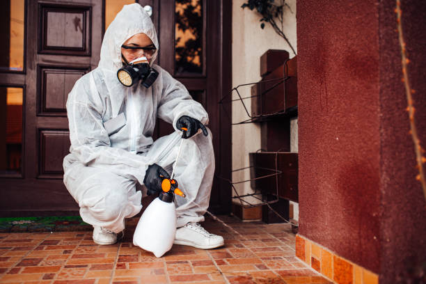 Reliable Cockroach Control contractor in Dover Base Housing, DE by Nex Pest Control